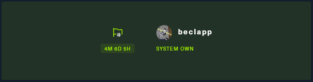 SYSTEM OWN